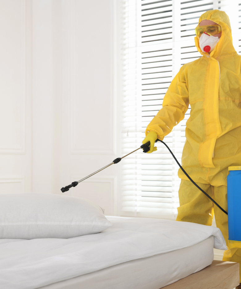 Professional Pest Control Team in Hackney